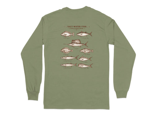 Illustration of saltwater fish species with scientific names on a long-sleeve shirt.
