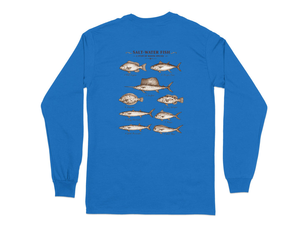 Illustration of various saltwater fish species with labels.