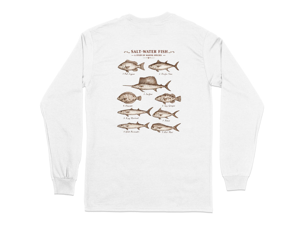 Saltwater fish species illustration with labels for Red Snapper, Flounder, and other marine life.